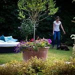 酒店 格林莱恩酒店 法尔肯堡