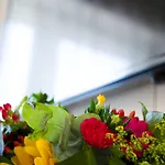 Schaepkens St Fijt מלון Valkenburg aan de Geul