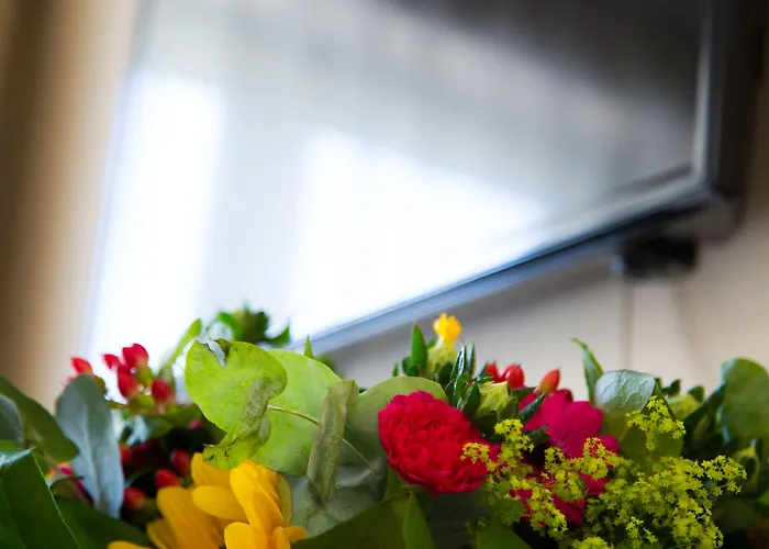 Schaepkens St Fijt فندق Valkenburg aan de Geul